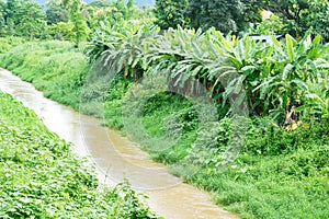 Water Canel to farmland field for agricultural