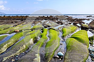 Water carved rocks with algea on the coastline of Indonesia