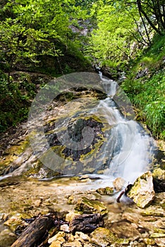 Water cascade