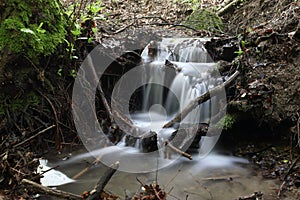 Water cascade in the creek. Motion photography. Slow shutter speed. Focus on waterfall, blurred leaves