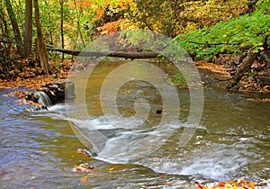 Water cascade in deep forest