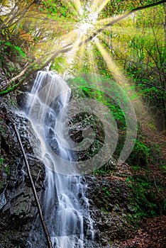 Water cascade in the forest