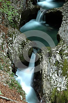 Water cascade in the forest