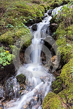 Water cascade in forest