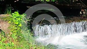 water cascade in the forest among the grass.