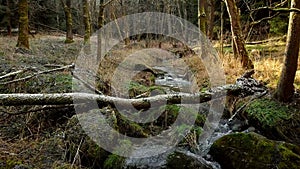 Water cascade on the small mountain river