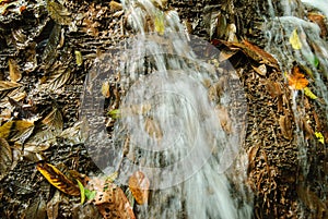 Water cascades on a mountain river with fallen autumn leaves