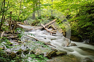 Water cascades over rocks and logs in picturesque stream photo