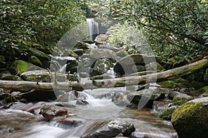 Grotto Falls in the Great Smoky Mountains National Park from downstream photo