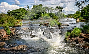 Water cascading over the Iguacu falls