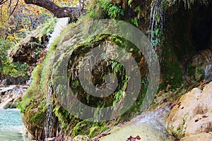 Water Cascading over Moss Covered Rocks