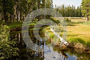 Water channel in countryside