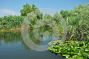 Water channel in the Danube delta