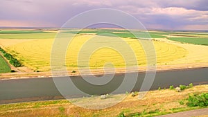 Water channel between the fields of green and yellow wheat for incorporation