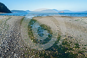 Water channel runs through the shoreline in Spencer Spit State Park on Lopez Island, Washington, USA