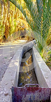 Water channel that transports water to palm trees