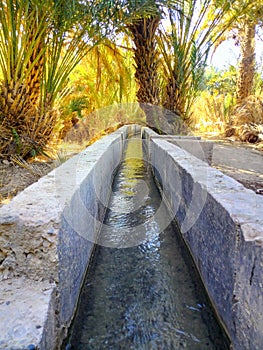 A water channel that transports waterA water channel that transports water to fields and trees