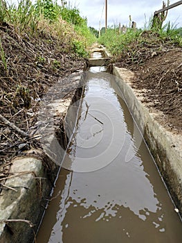 This water channel is used as irrigation for rice fields