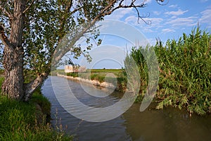 A water channel used to irrigate rice fields