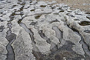 Water channels through basalt slabs at the Bob Creek Wayside on the Pacific Coast of Oregon, USA