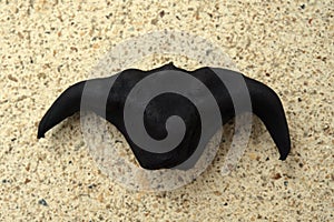 The water chestnut fruit 1