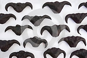 The water chestnut fruit 7