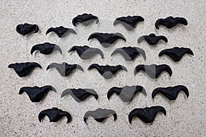 The water chestnut fruit 2