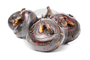 Fresh Water Chestnut