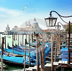 Water city, Venice