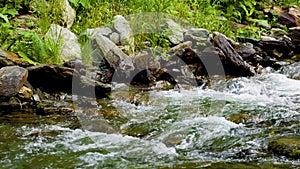 Water clear stream river flowing in the deep forest, Slow motion