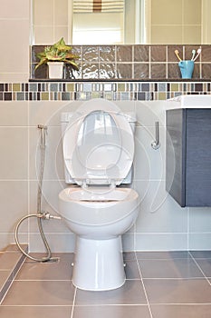 Water closet with hygienic hand spray in modern toilet