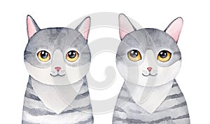 Water color illustration set of two cute little kittens with different facial expressions.