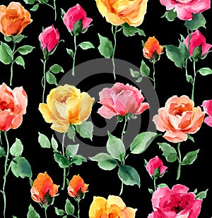 Water color painting of Rose blossoms and buds