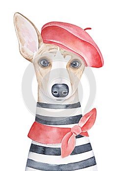 Water color portrait illustration of lovely dog wearing red french beret, classic knotted neck scarf and striped french tee-shirt.