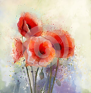 Water color red poppy flowers painting.