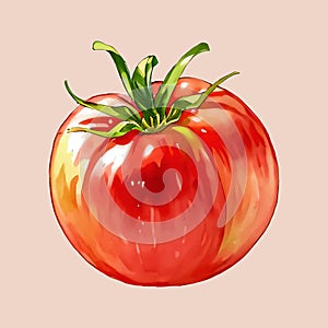 Water Color vector red tomato