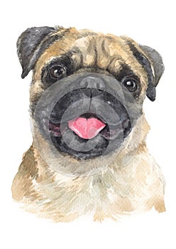 Water colour dog painting A small wrinkled face called Pug 028 photo