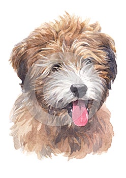 Water colour painting, dog shape, fluffy Tibetan breed, terrier 033 photo