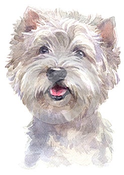 Water colour painting portrait of White Terrier 319