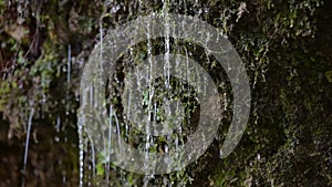 Water coming out of the stone wall `rinnende wand` near molln, upper austria