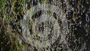 Water coming out of the stone wall `rinnende wand` near molln, upper austria