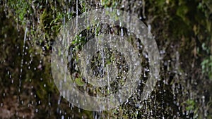 Water coming out of the stone wall `rinnende wand` near molln, upper austria