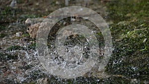 Water coming out of the stone wall `rinnende wand` near molln, upper austria