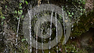 Water coming out of the stone wall `rinnende wand` near molln, upper austria