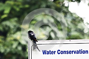 Water conservation