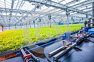 Water conveying at hydroponic plantation