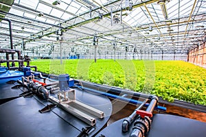 Water conveying at hydroponic plantation