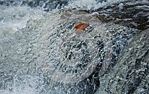 Water Crashing in Cleveland Metroparks, Rocky River waterfall