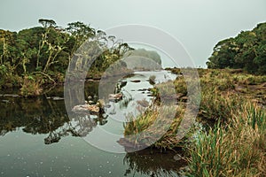 Water from creek running towards waterfall