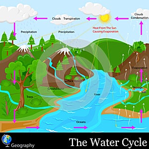 Water Cycle